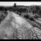 strade di campagna