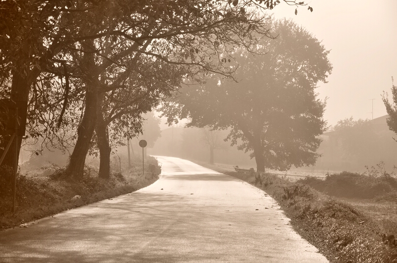 Strade nella nebbia