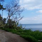 Stradina che porta al Faro Capo Zafferano (PA)