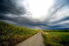 stradina di campagna