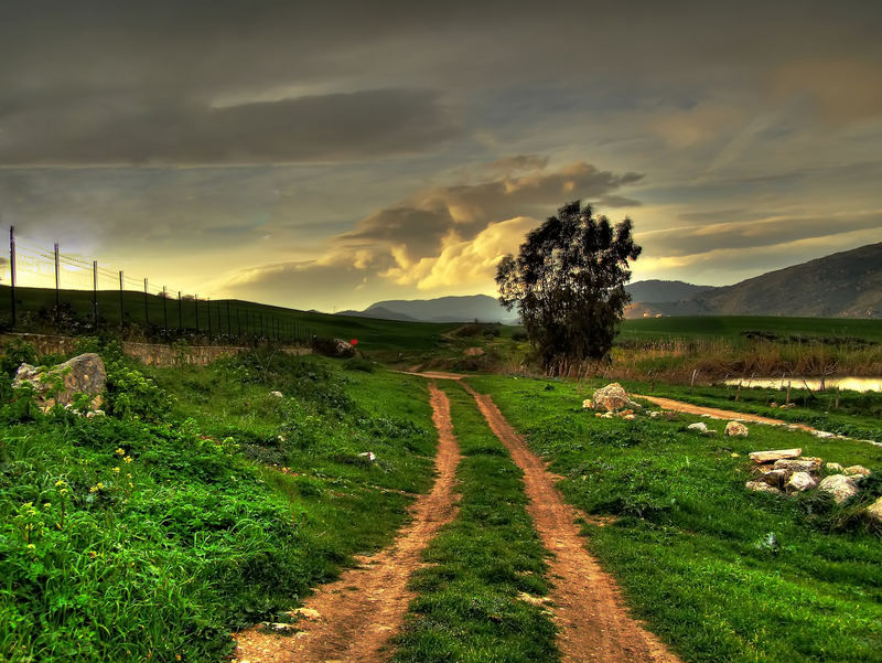 Stradina di campagna