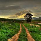 Stradina di campagna