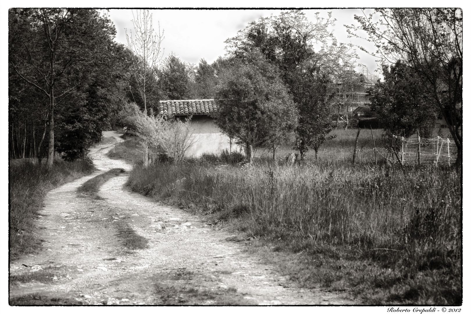 Stradina verso il lago