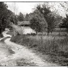 Stradina verso il lago