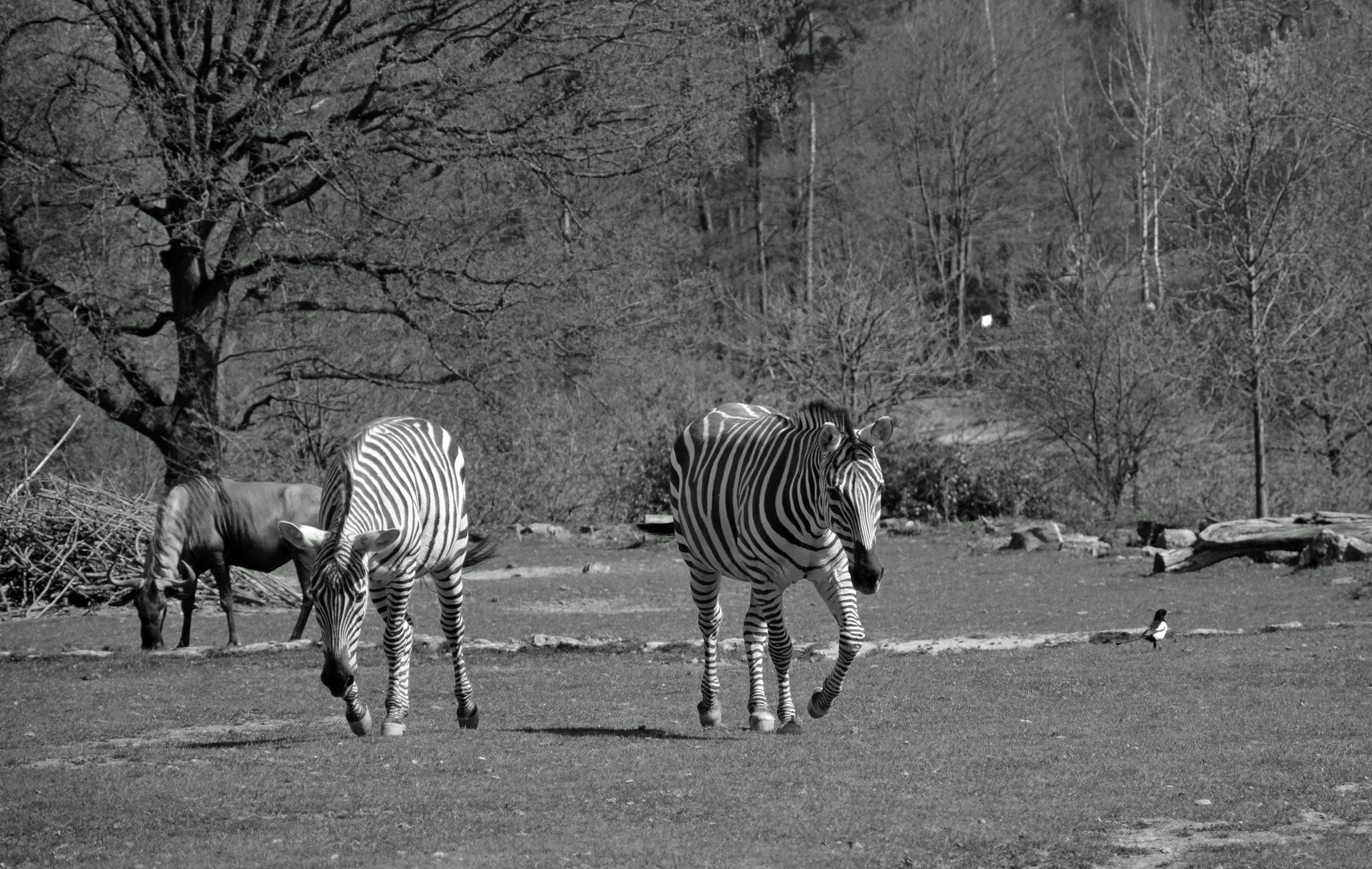 Sträflinge im "Knast"