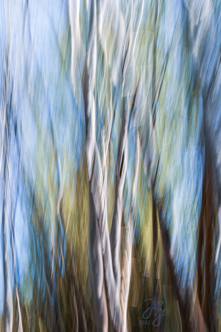 Stränge Foto & Bild abstraktes, strukturen, motive Bilder auf