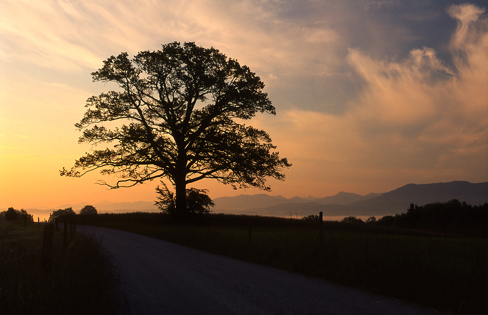 Sträßchen der Sehnsucht