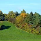 Sträucher im Herbst