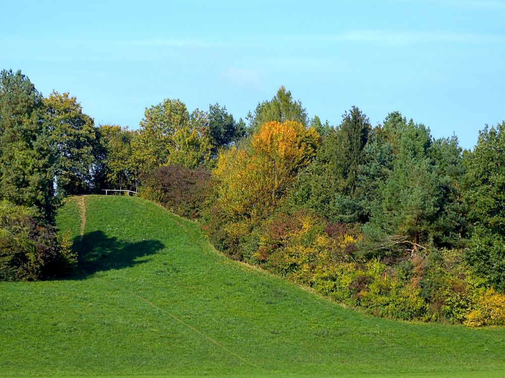 Sträucher im Herbst