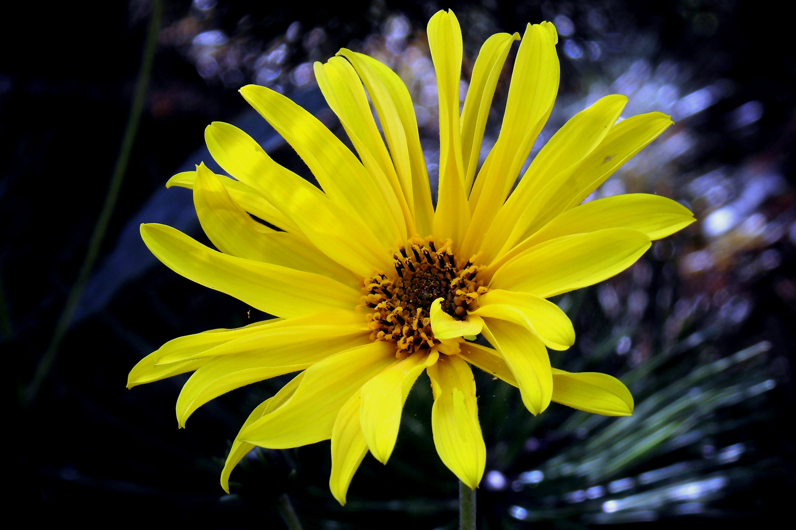 Strahlen Foto & Bild landschaft, garten & parklandschaften