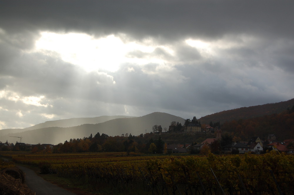 Strahlen auf die Haardt