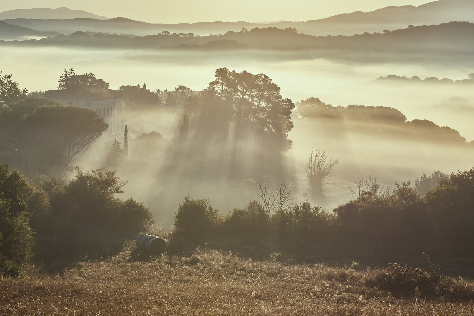 Strahlen der Morgensonne