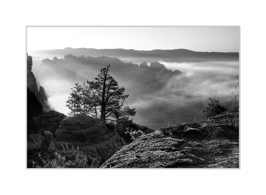 strahlen im nebel