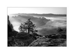 strahlen im nebel