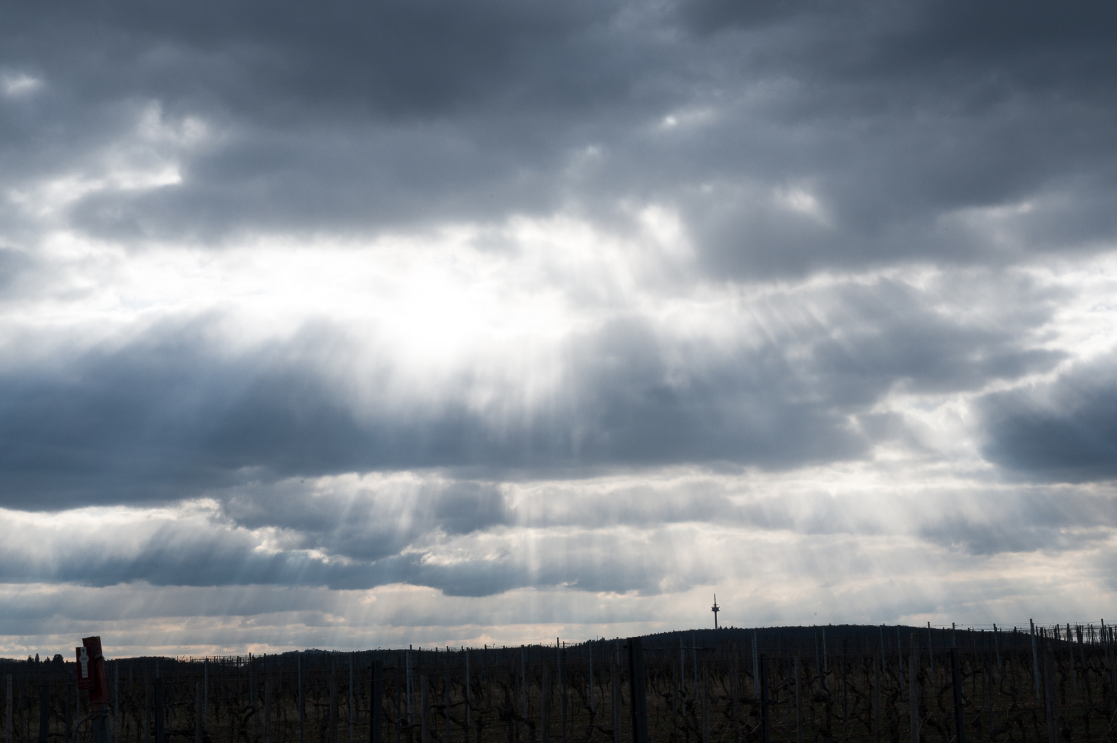 Strahlen über Rheinhessen