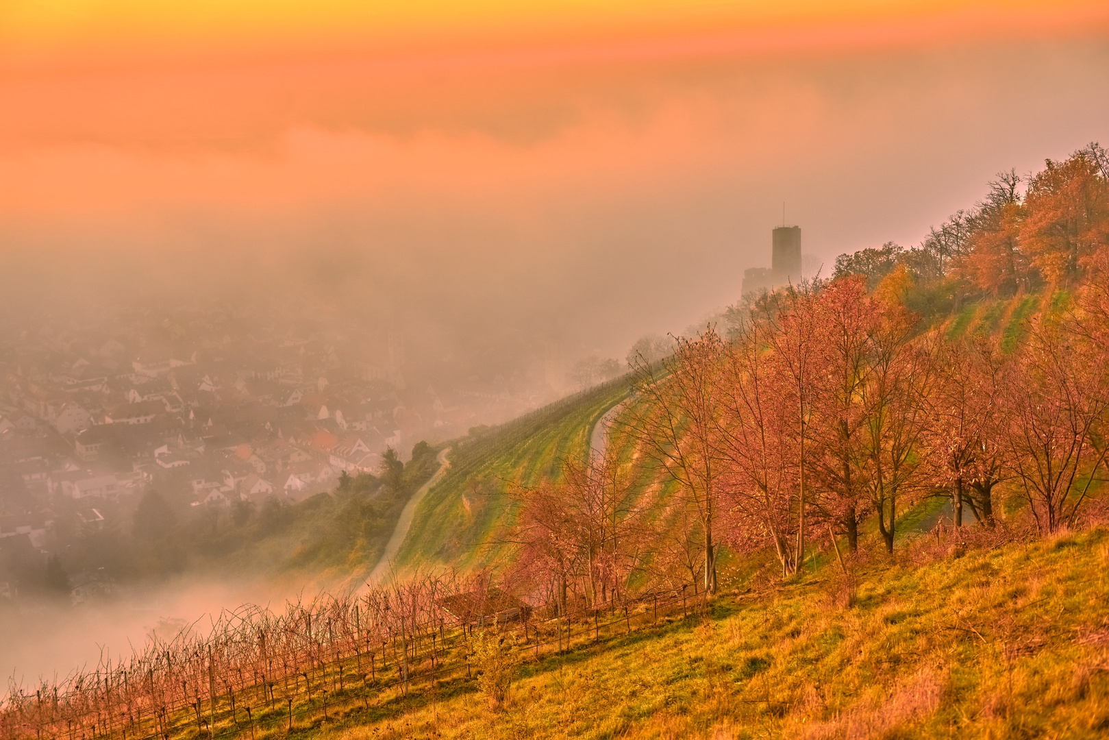 Strahlenburg im Nebel bei Sonnenuntergang 