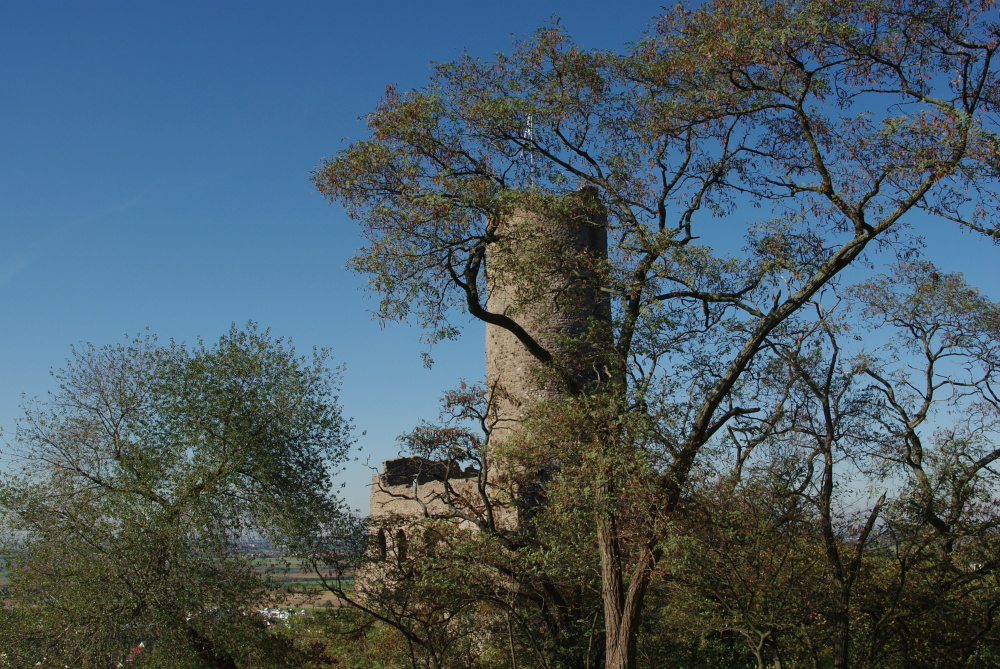 Strahlenburg in Pastell