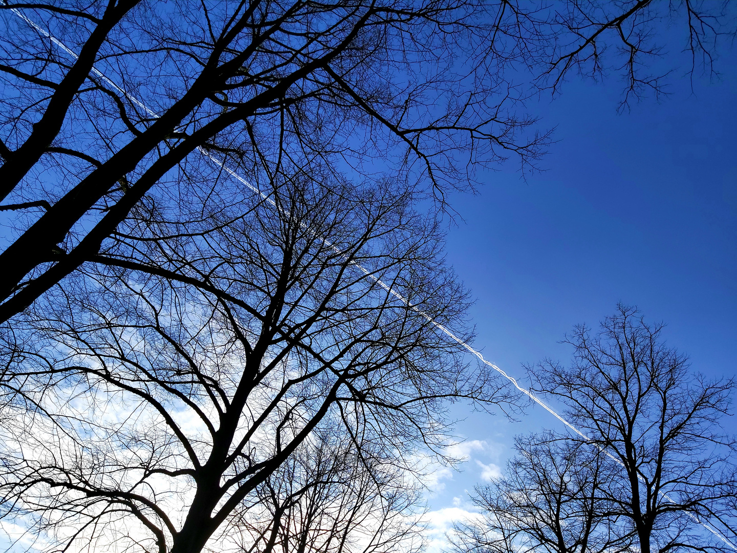 Strahlend blauer Himmel...