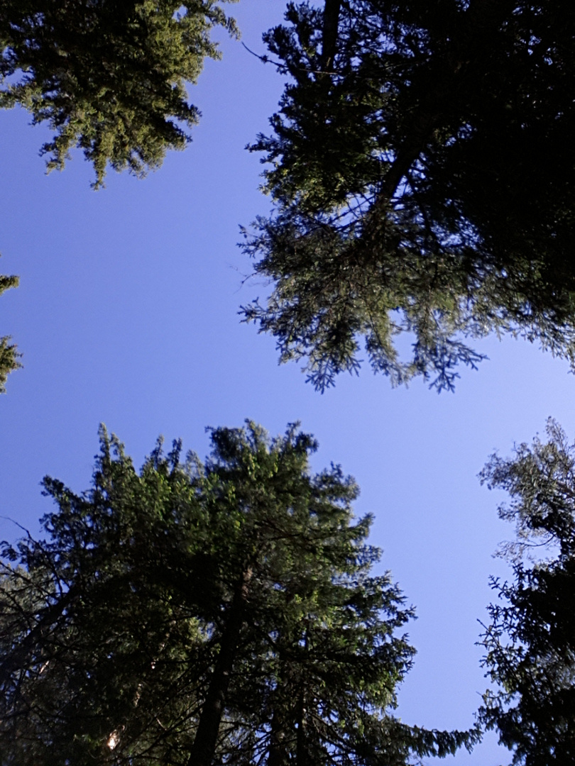 Strahlend blauer Himmel über Ekshärad