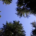 Strahlend blauer Himmel über Ekshärad