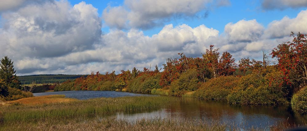 Strahlend schöner Herbst am Dlouhy ryb (Deutsch Langer Fisch)