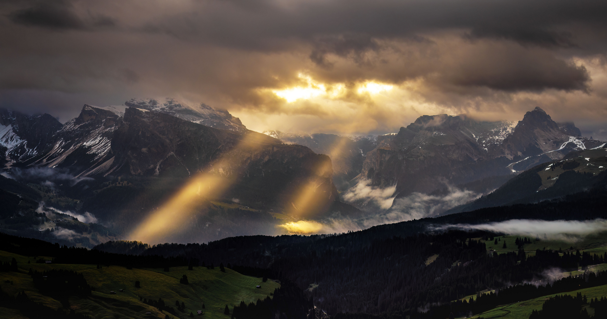 STRAHLENDE AUGEN