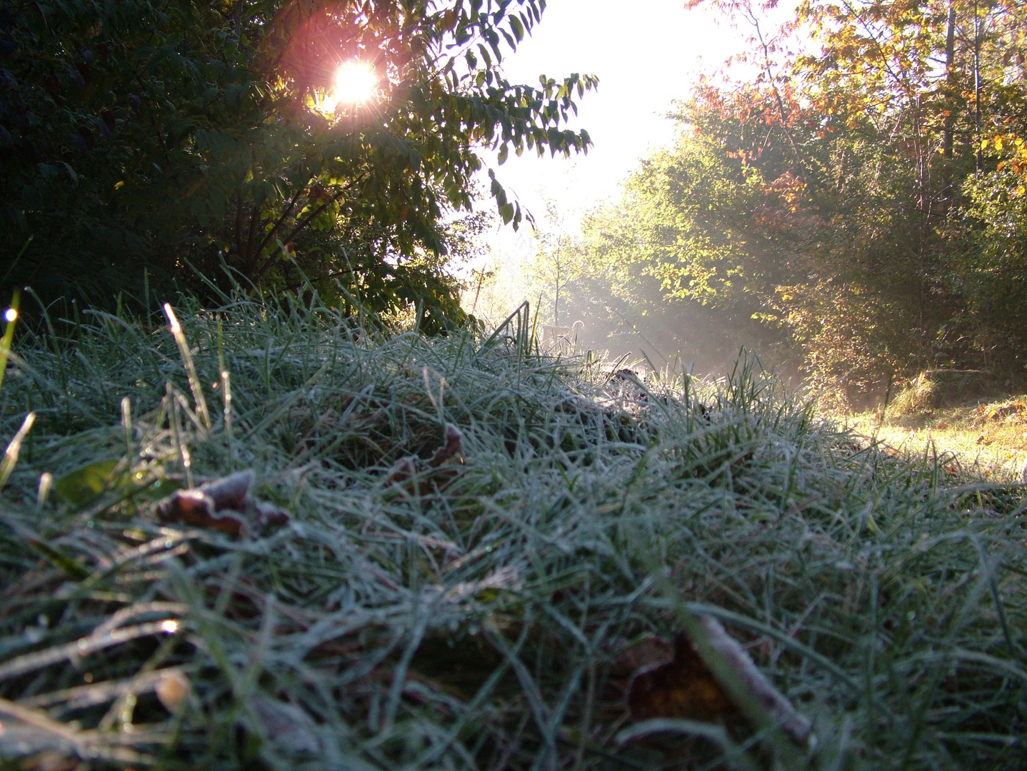 Strahlende Aussichten im Herbst