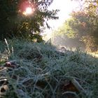 Strahlende Aussichten im Herbst