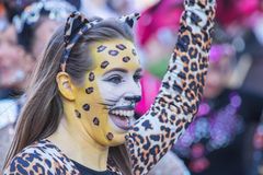 Strahlende Gesichter, Samba Karneval Bremen 2019, Bild IX