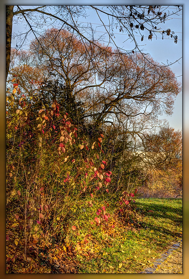 strahlende Herbstsonne II