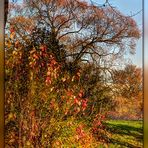 strahlende Herbstsonne II