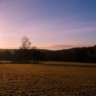 Strahlende Morgensonne im Rabengrund