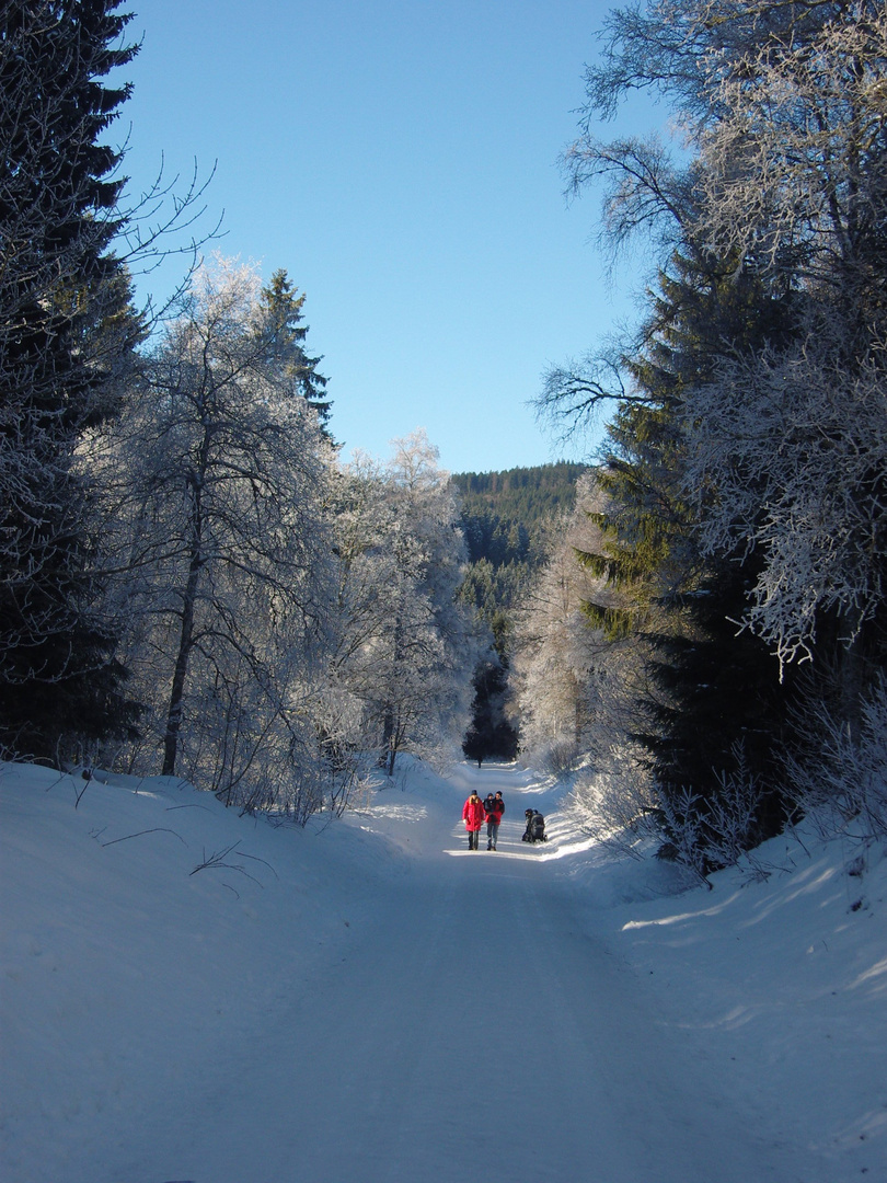 strahlende Neujahrssonne am Schluchsee