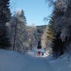 strahlende Neujahrssonne am Schluchsee