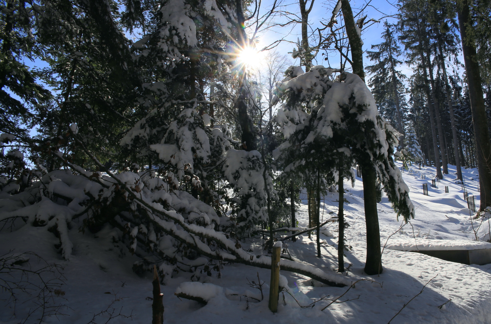 Strahlende Sonne