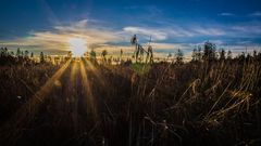 Strahlende Sonne am späten Nachmittag