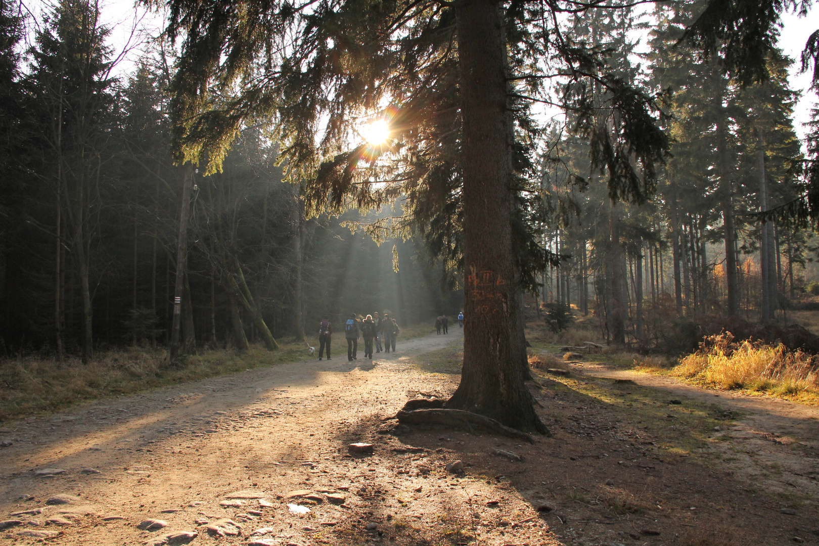 Strahlende Zukunft