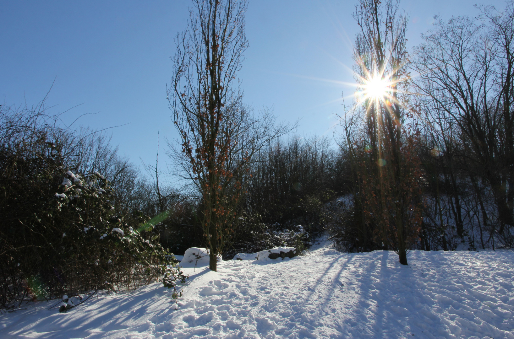 Strahlenden Sonnenschein...