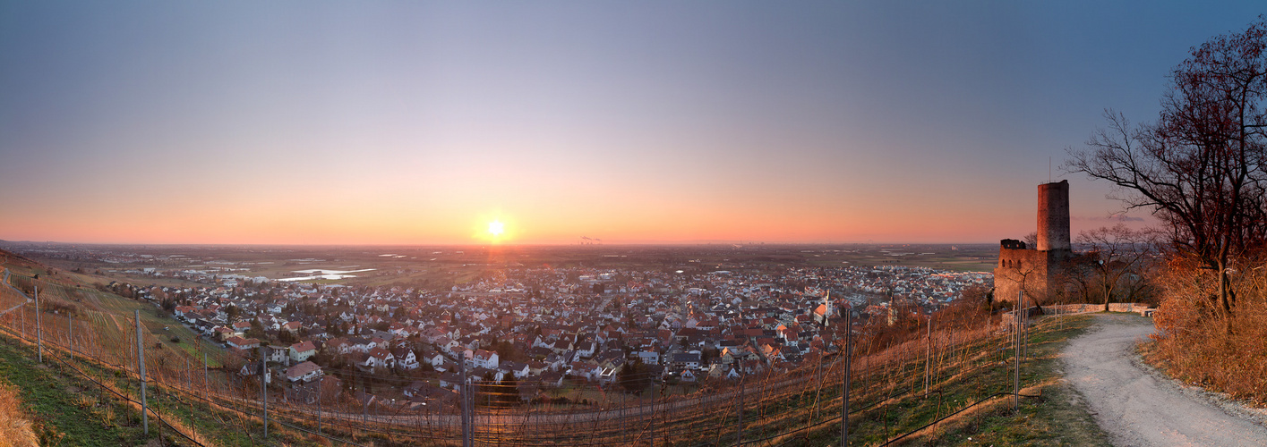 Strahlender Blick