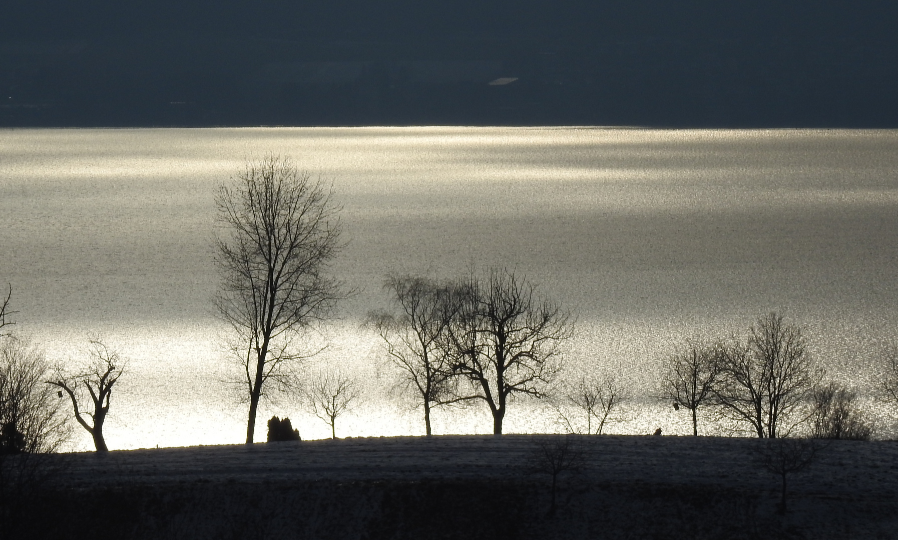 Strahlender Bodensee