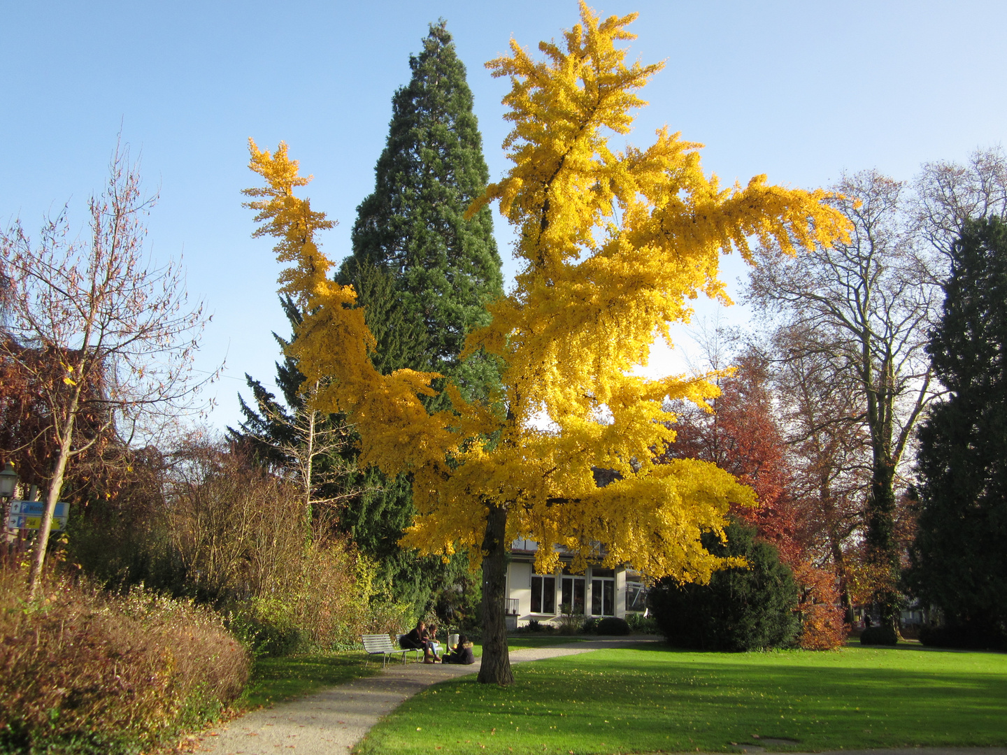 Strahlender Herbst