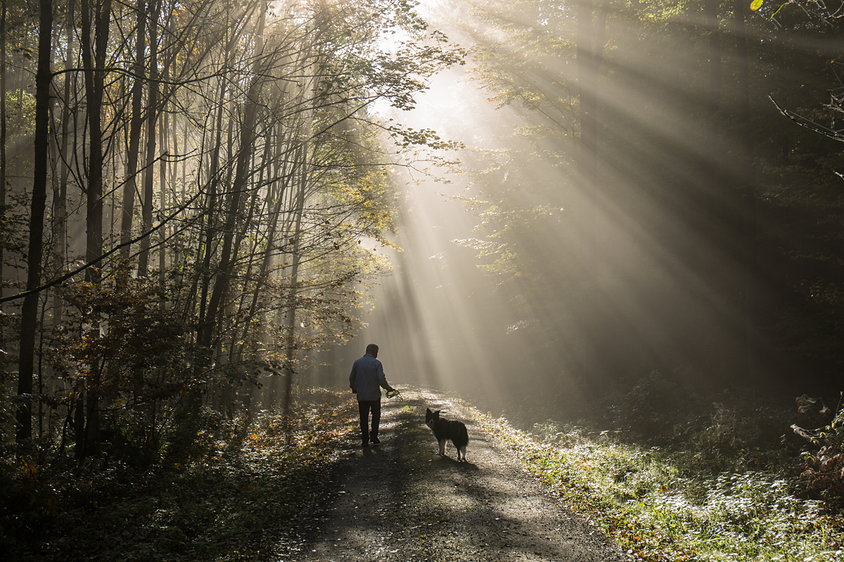 strahlender Herbst