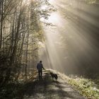 strahlender Herbst