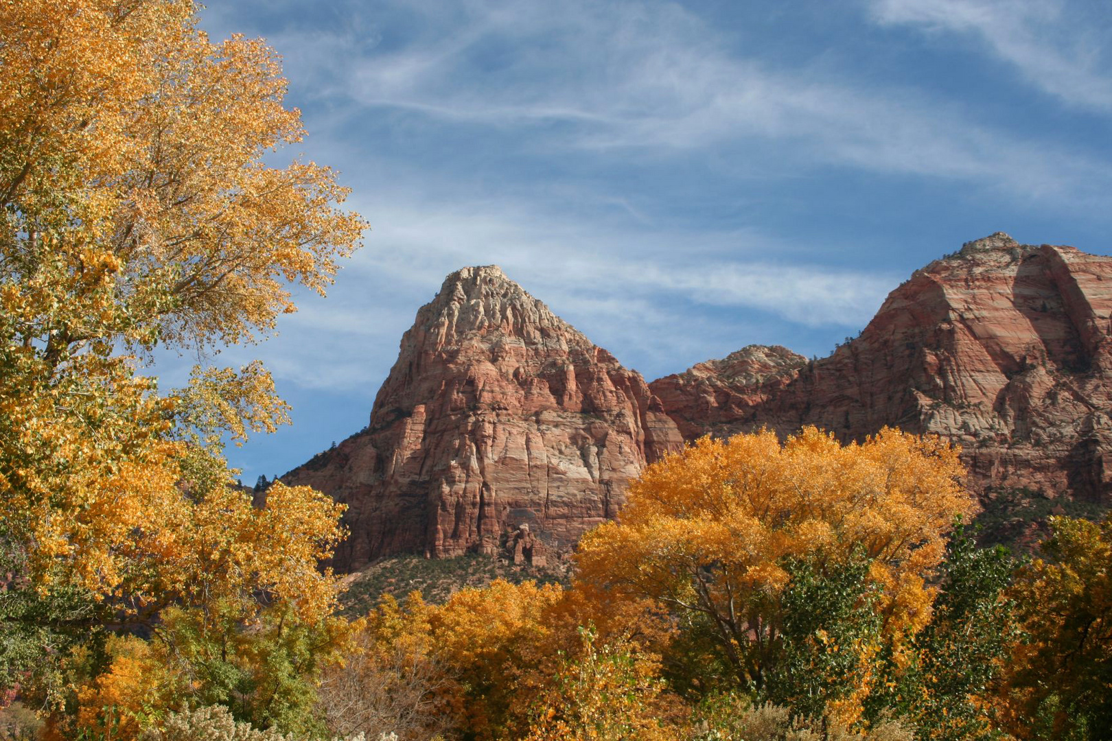 Strahlender Herbst im Zion Nationalpark