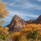 Strahlender Herbst im Zion Nationalpark