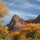 Strahlender Herbst im Zion Nationalpark