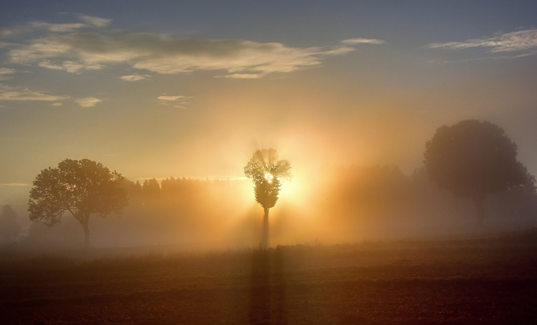 strahlender Morgen ...