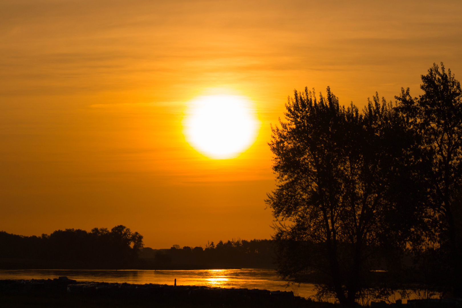 Strahlender Morgen an der Elbe