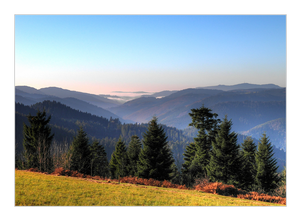 Strahlender November auf den Schwarzwaldhöhen