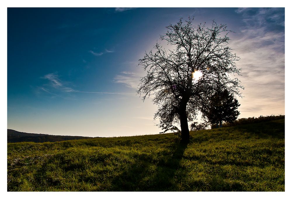 Strahlender sonne